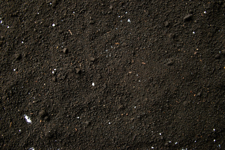 top-view-of-dark-soil-background